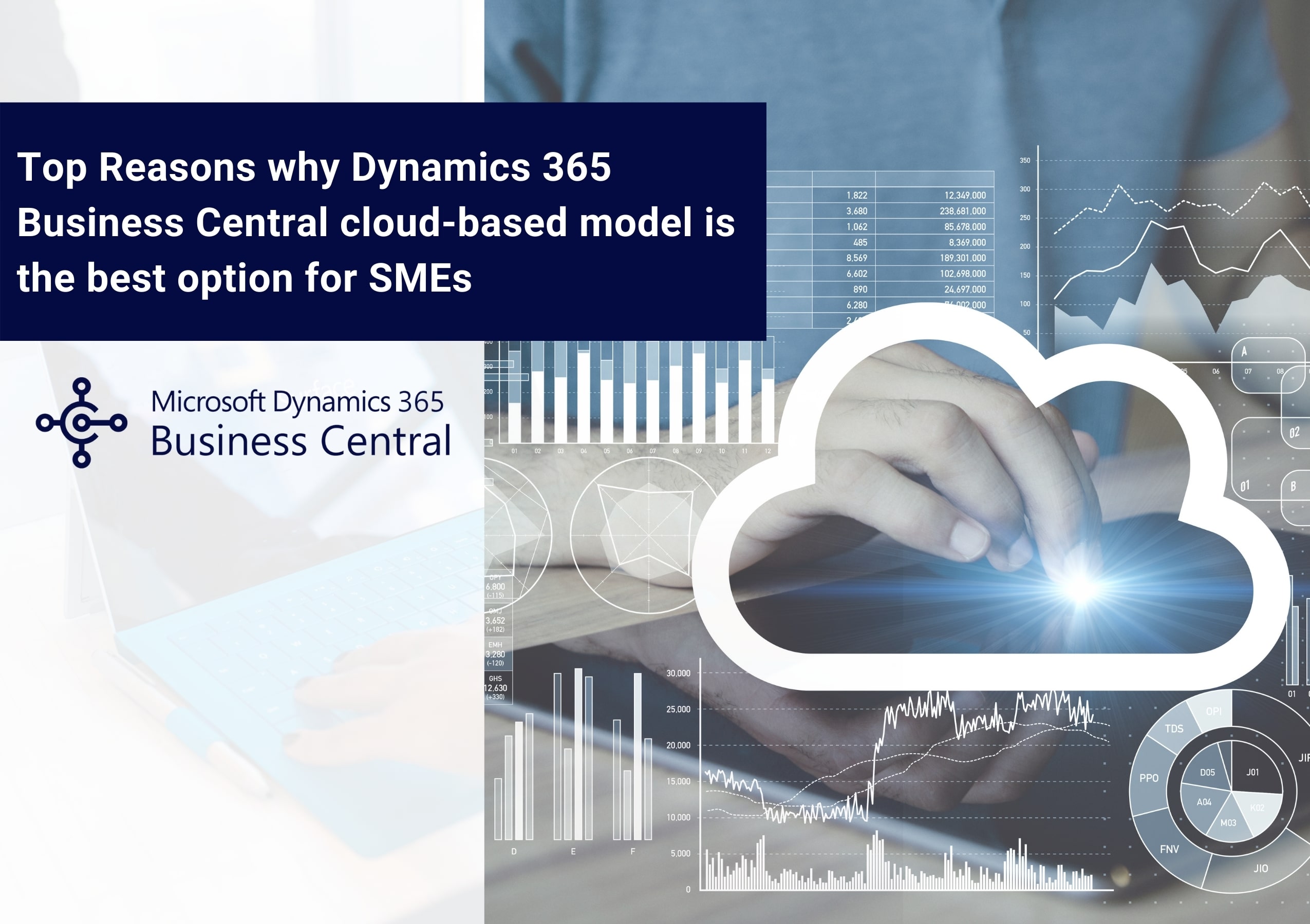 Business Central Cloud Based