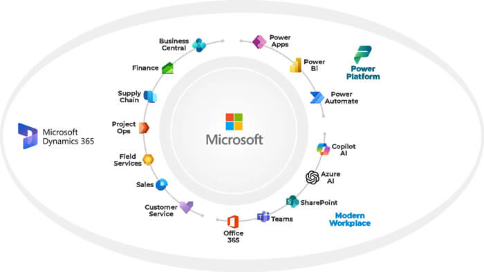 Microsoft Dynamics Software