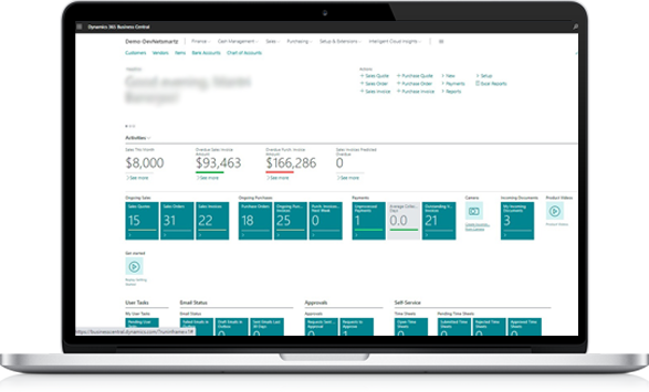 Microsoft Dynamics Software