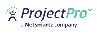 Project Pro