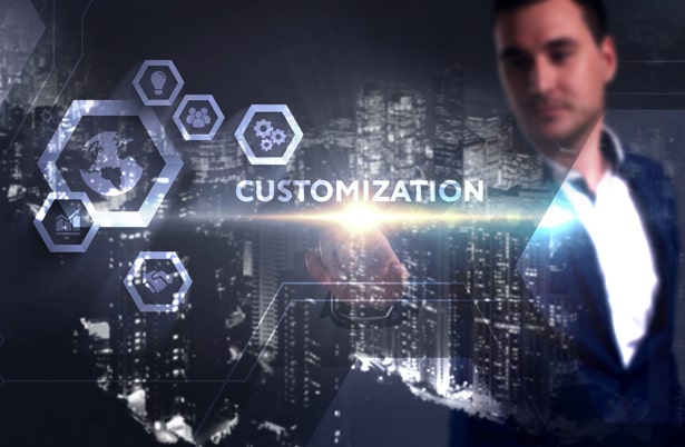 Microsoft Dynamics Customization