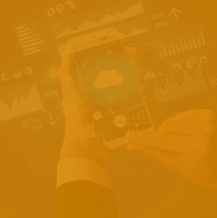  Business Dynamics Central